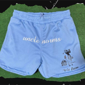 Double Layer Mesh Short